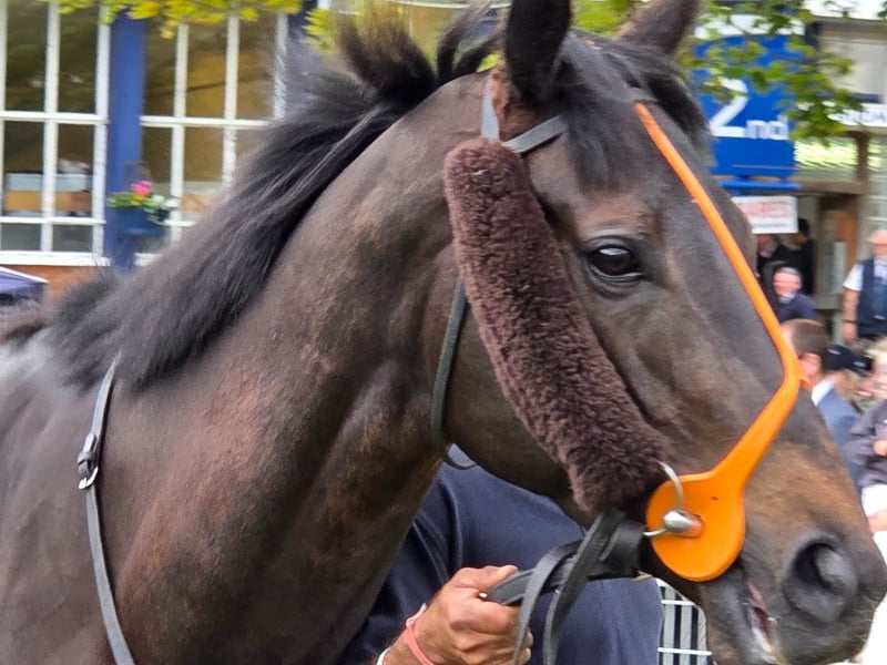 The Coffee Pod Dot Co