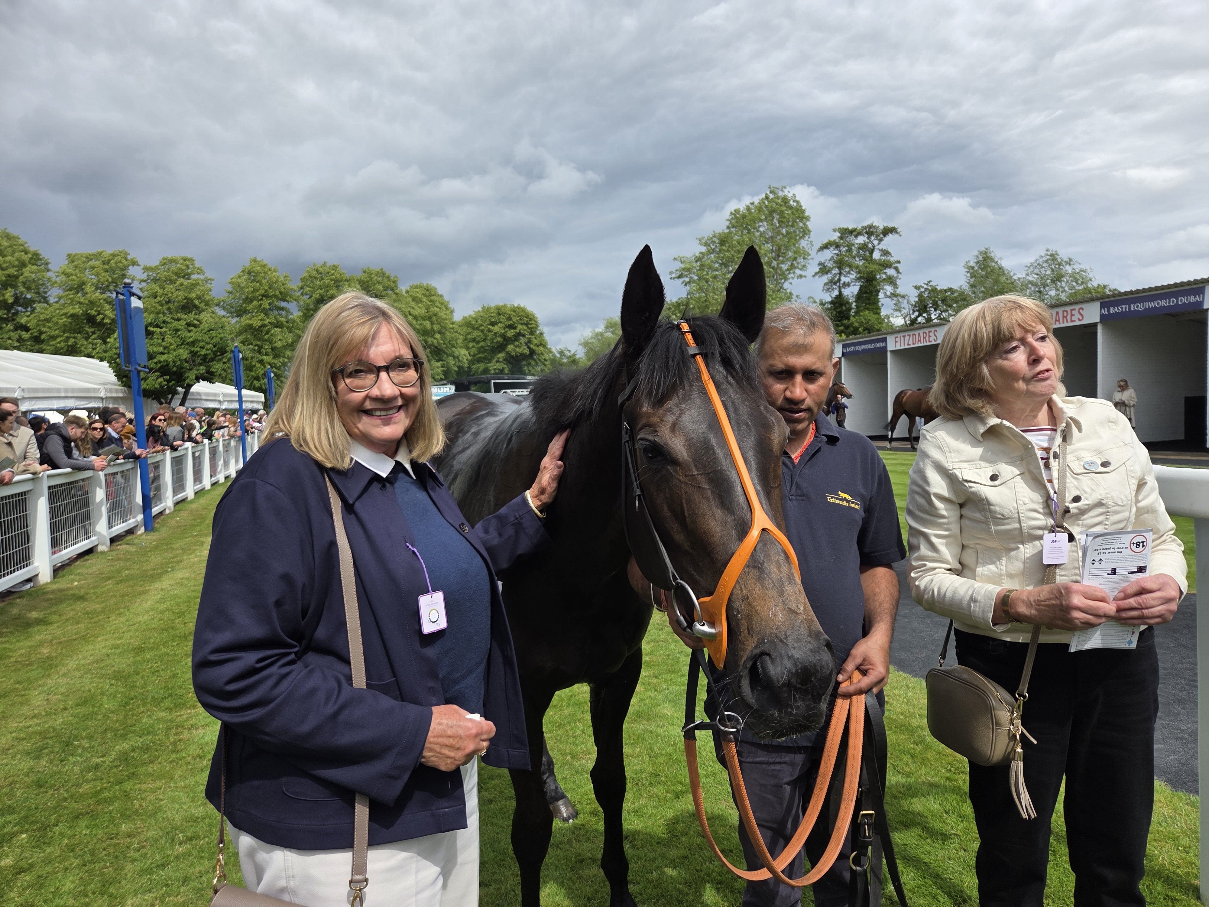 The Coffee pod Dot Co