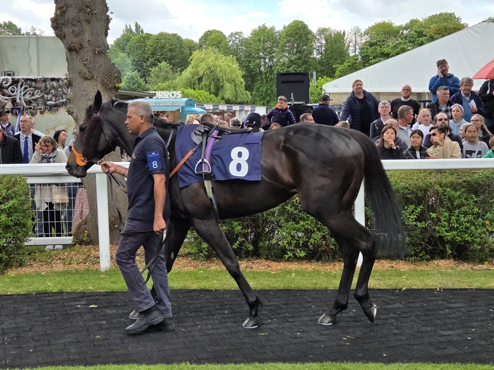 The Coffee pod Dot Co