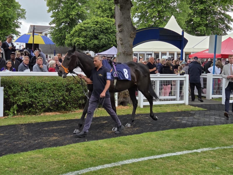 The Coffee Pod Dot Co