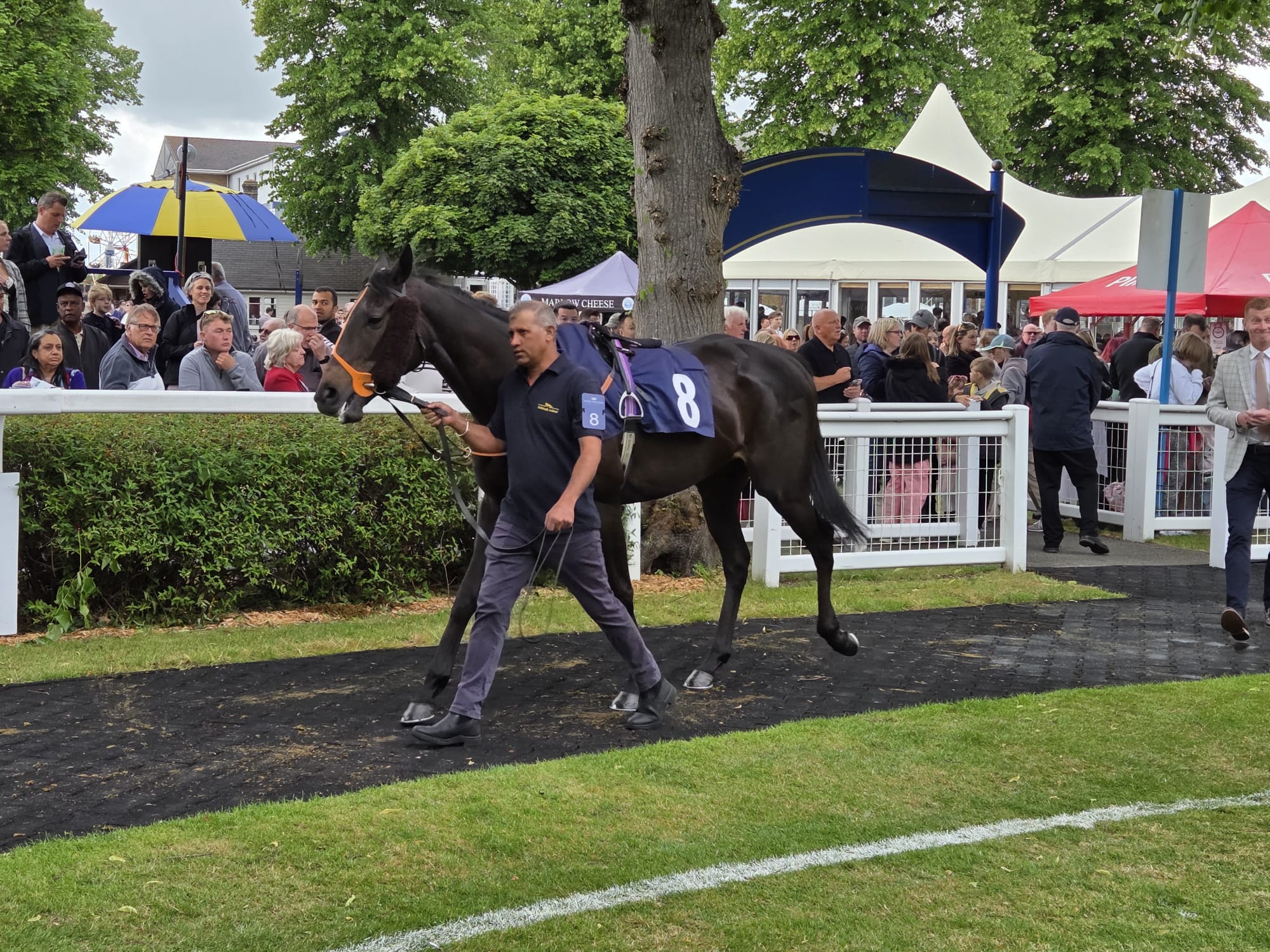 The Coffee Pod Dot Co