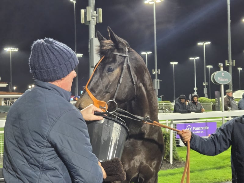 The Coffee Pod Dot Co