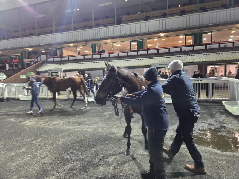 The Coffee Pod Dot Co