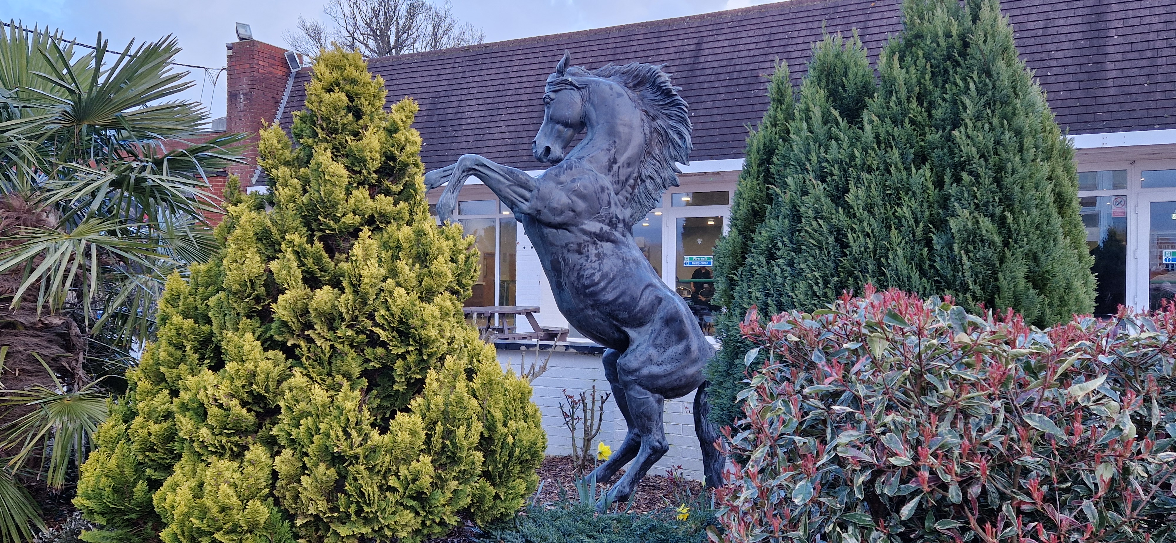 Lingfield Racecourse  
