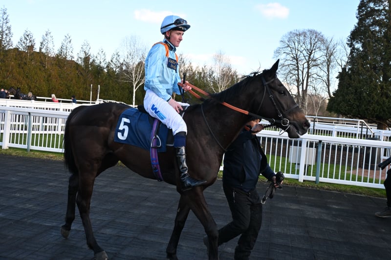 Winner Thecoffeepoddotco