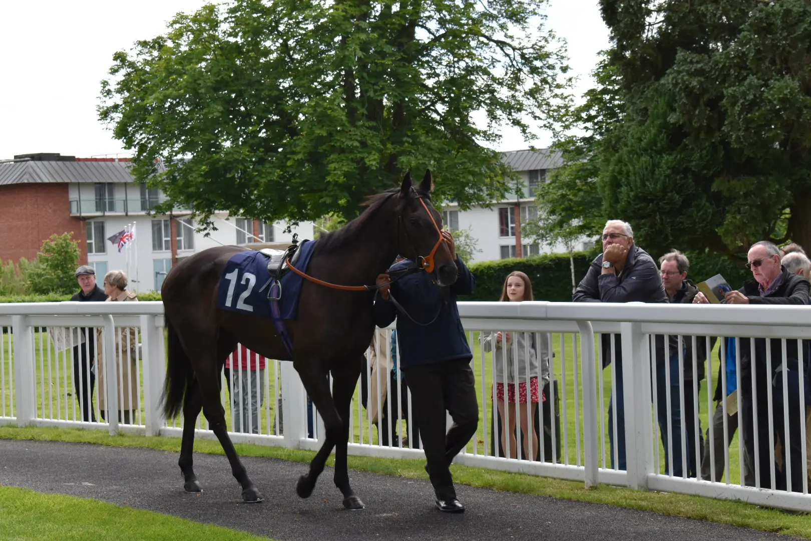 Pre-Parade Ring