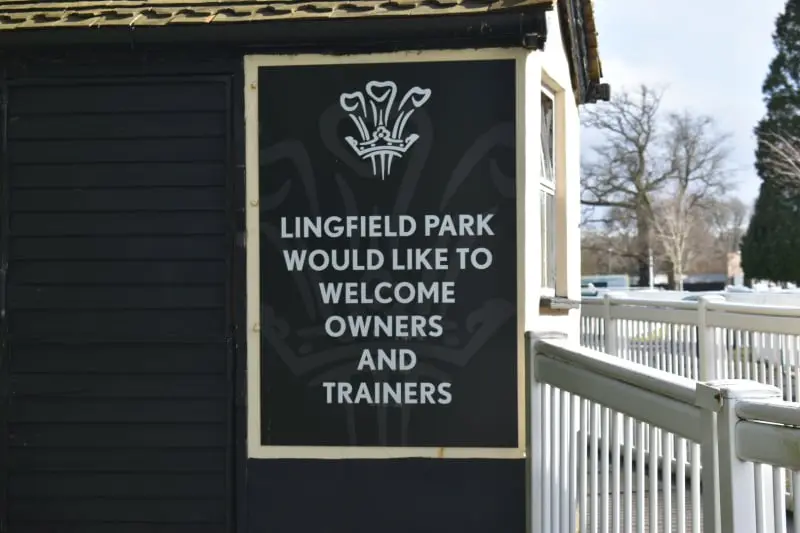 Lingfield Racecourse 30th May 2024