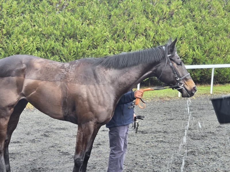 The Coffee Pod Dot Co